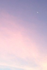 荷兰队在近期比赛中努力争取胜利