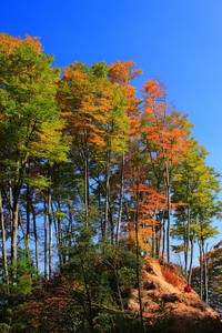 卡利亚里主场遭遇失利，积分榜不佳