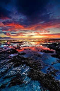 阿根廷女足与德国平分秋色，稳固防守获胜