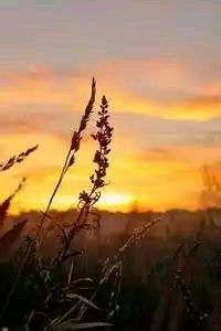 利物浦遭遇强敌被水晶宫击溃，暂时放弃榜首位置