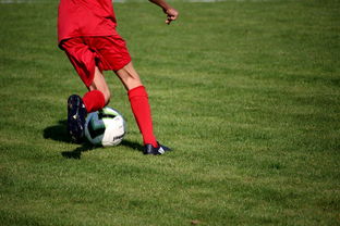 开云体育下载-体育新闻中心发布体育赛事AI辅助裁判系统，ai裁判 体操  第2张